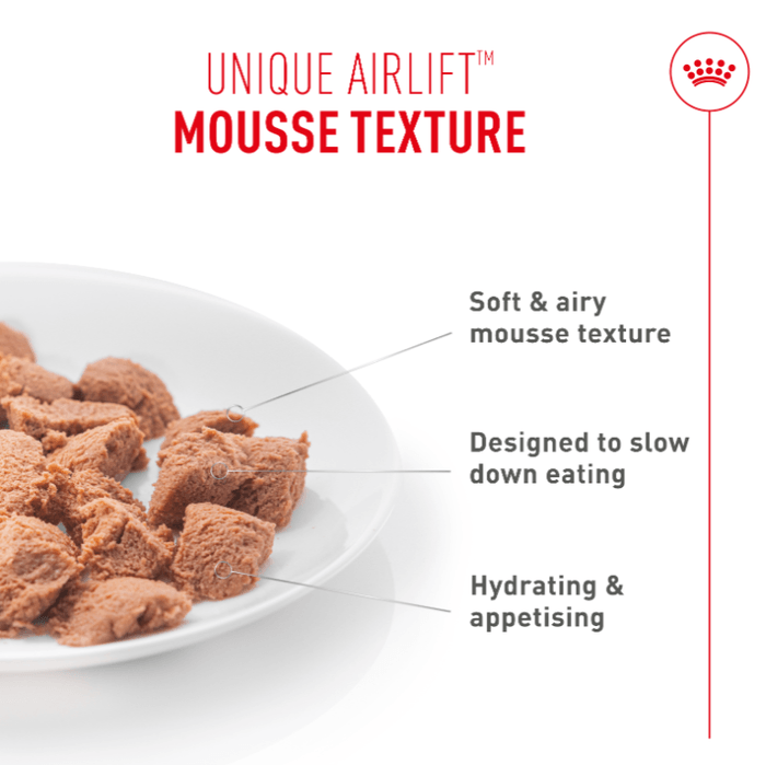 Royal Canin | Digestive Care | Wet Cat Food Tin | Air Mousse | Cat Nutrition | 85g