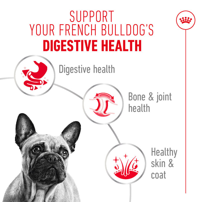 Royal Canin | Breed Health Nutrition | Wet Dog Food Pouch | French Bulldog - 85g