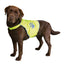 Trixie High Visibility Reflective Safety Vest for Dogs