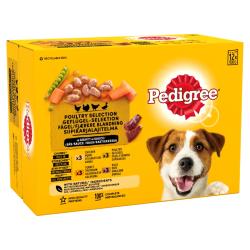 Pedigree Wet Dog Food Pouches (Adult) - Poultry Selection Gravy (12 X 100g)