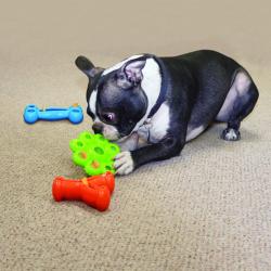 KONG Quest Bone Dog Toy - Large