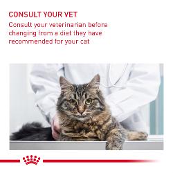 Royal Canin | Feline Health Nutrition | Dry Cat Food | Hair & Skin Care - 10kg