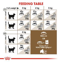 Royal Canin | Feline Health Nutrition | Dry Cat Food | Senior Ageing 12+