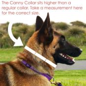 Canny Collar | Dog Walking | No Pull Headcollar - Black