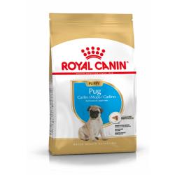 Royal Canin Pug Breed Nutrition - Junior Dog Food - 1.5kg
