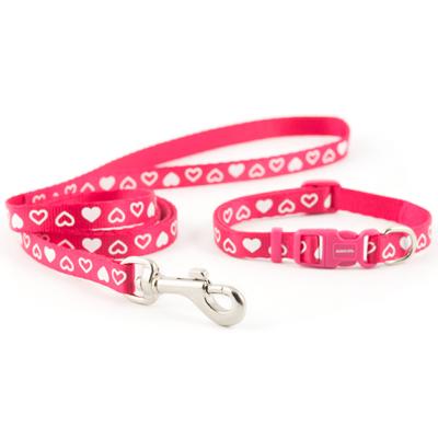 Ancol Raspberry Heart Puppy Collar & Lead Set
