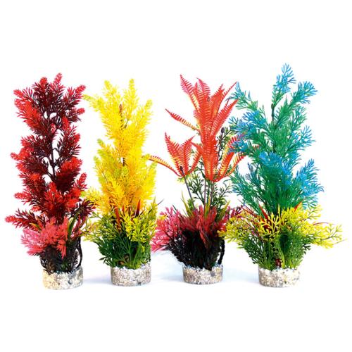 Rosewood Sydeco Assorted Coloured Aquaplant - Extra Large