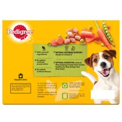 Pedigree Wet Dog Food Pouches (Adult) - Mixed Selection Gravy 12x100g