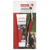 Beaphar | Dog Toothbrush & Toothpaste Set | Complete Dental Kit