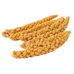Bamfords Chinese Millet Spray Bird Treat - 15kg