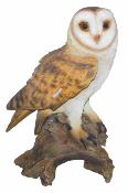 Vivid Arts Owls And Birds Of Prey Real Life Barn Owl