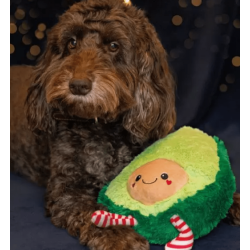 Cupid & Comet | Giant Christmas Avocado | Festive Dog Toy