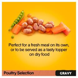 Pedigree Wet Dog Food Pouches (Adult) - Poultry Selection Gravy (12 X 100g)