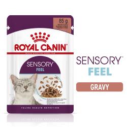 Royal Canin Feline Health Nutrition | Sensory Feel in Gravy | Wet Cat Food Pouch - 85g
