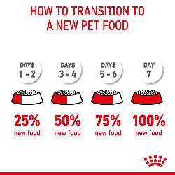 Royal Canin | Dry Cat Food | Kitten | Second Age Kitten