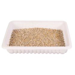 Trixie | Natural Cat Enrichment | Grass & Barley Seed Bowl - 100g