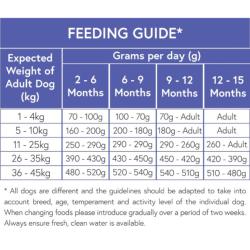 Pet Connection Super Premium | Hypoallergenic Dry Dog Food | Puppy | Chicken & Rice