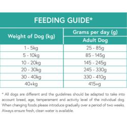 Pet Connection Grain Free | Adult Dry Dog Food | Angus Beef with Sweet Potato & Carrot
