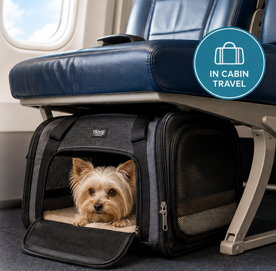 Flying With Dogs: The Complete Guide to Airline Travel With Your Pet