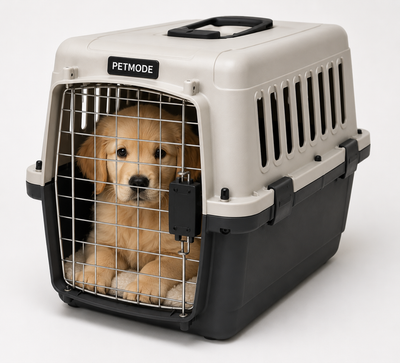 How to Crate Train Your Dog for a Flight: A Practical 4–8 Week Aviation Crate Training Programme