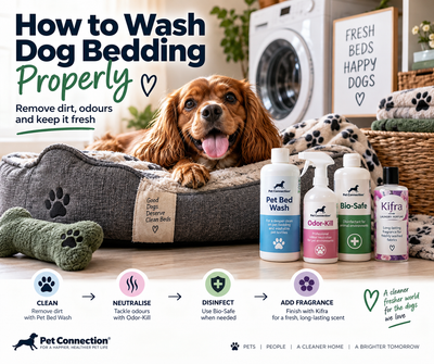 How to Wash Dog Bedding Properly: Remove Dirt, Odours & Keep It Fresh