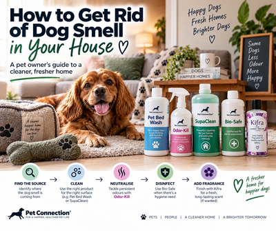 How to Get Rid of Dog Smell in Your House: A Pet Owner's Guide