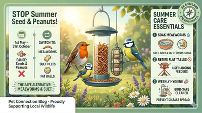 The Summer Seed Pause: Why the RSPB Asks You to Change Your Bird Feed This May