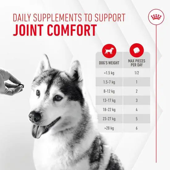 Royal Canin | Functional Dog Treats | Joint & Ageing Chews - 240g