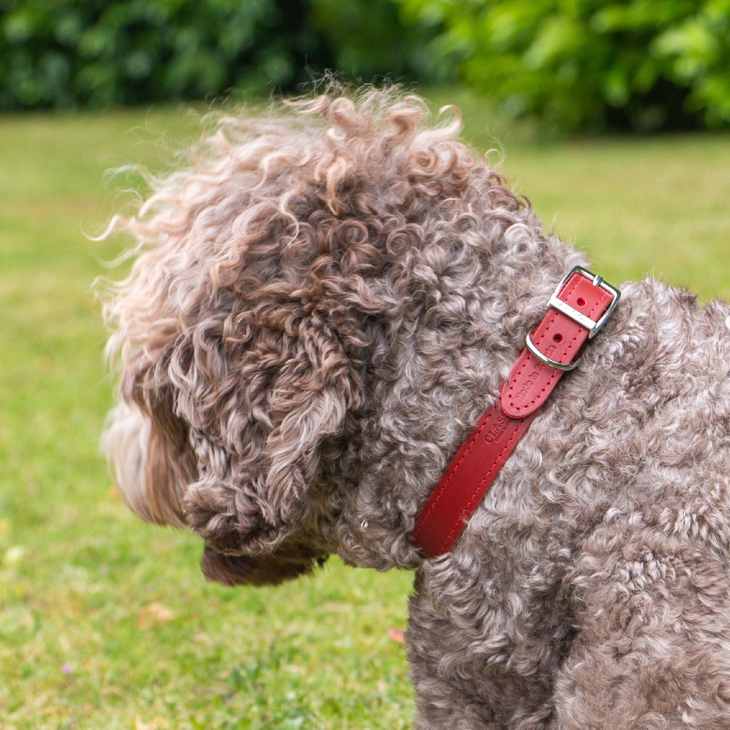 Ancol | Luxury Leather Sewn Dog Collar | Red