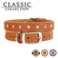Ancol | Leather Sewn/Studded Dog Collar | Tan