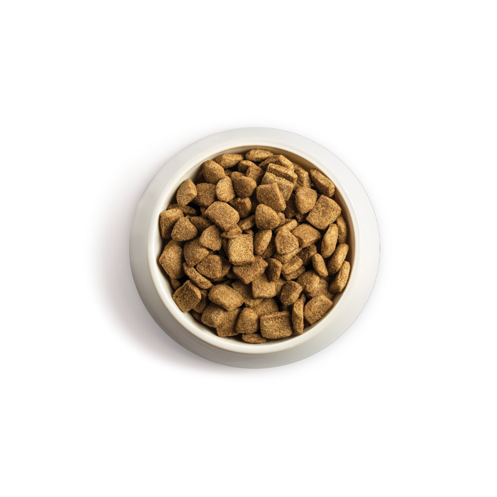 Chappie Beef & Wholegrain Adult Dry Dog Food