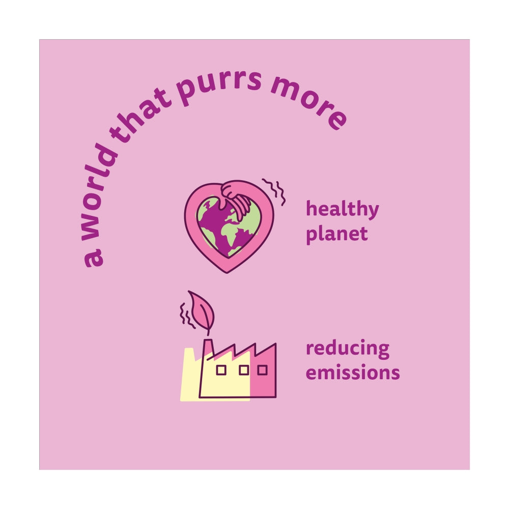 Whiskas | Dry Cat Food | Adult Lamb - 1.9kg