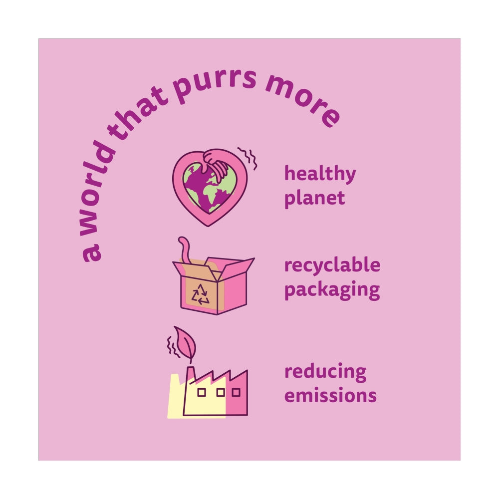 Whiskas | Dry Cat Food | Kitten | Chicken