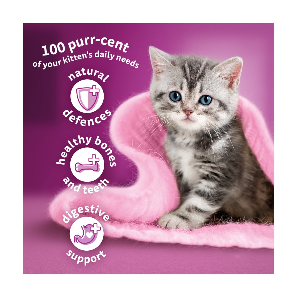 Whiskas | Dry Cat Food | Kitten | Chicken