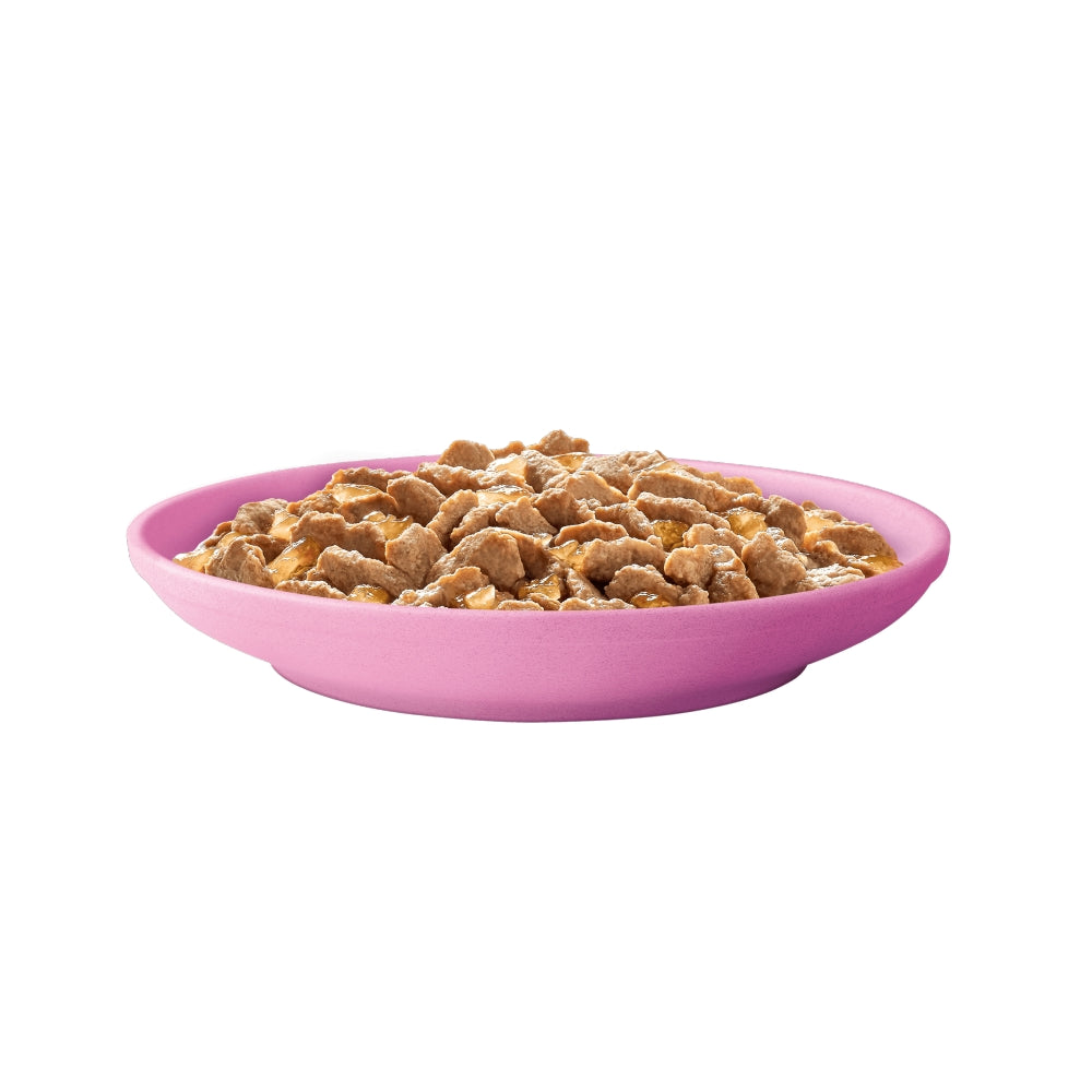 Pink bowl filled with pet food on a white background