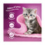 Kitten on a pink blanket with text about a kitten's daily needs on a purple background