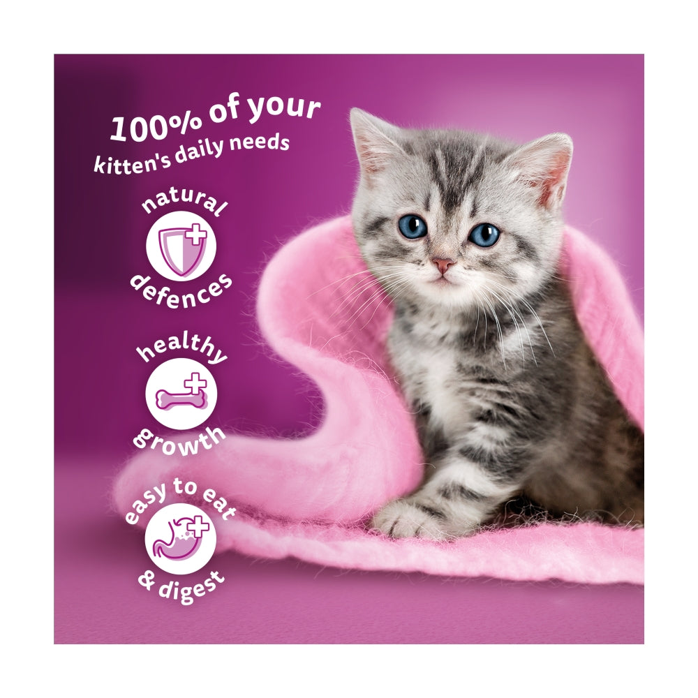 Kitten on a pink blanket with text about a kitten's daily needs on a purple background