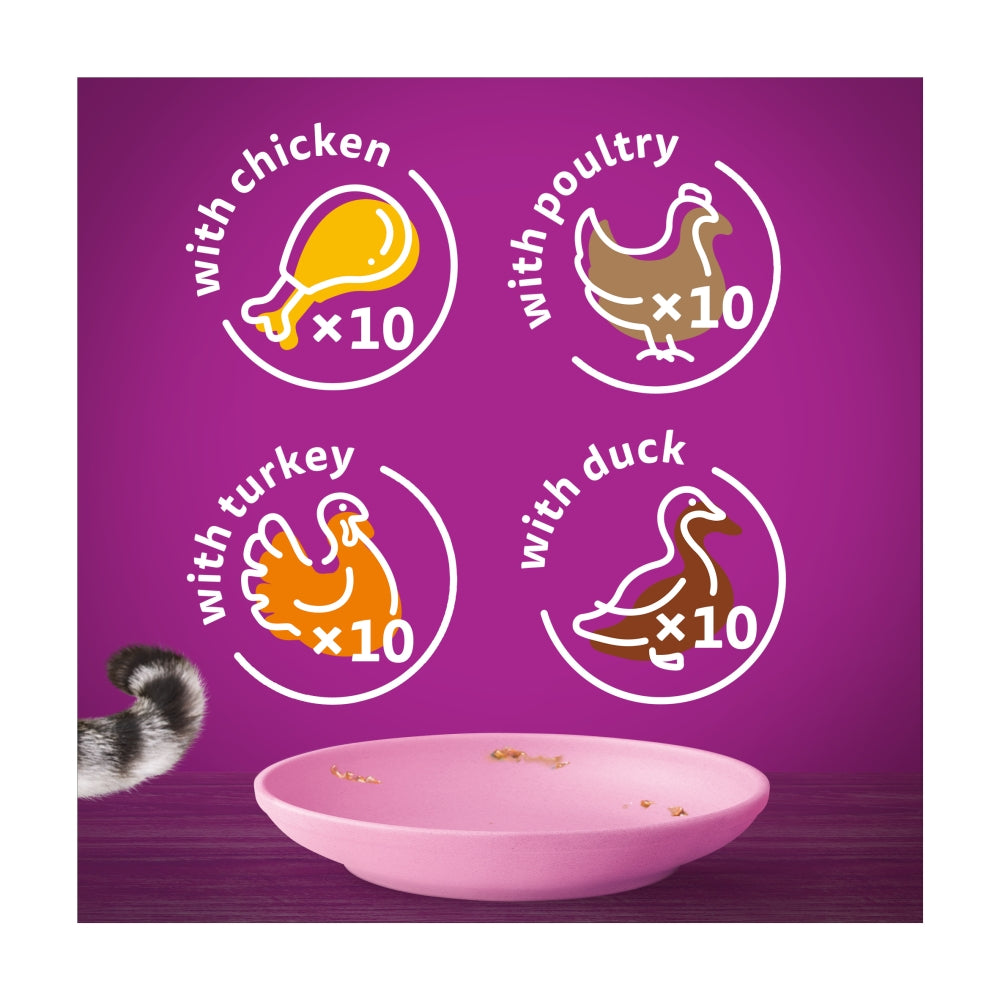 Purple background with chicken, poultry, turkey, and duck icons and a pink bowl.
