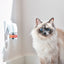 Beaphar CatComfort Excellence Diffuser Refill | 30 Day Calming
