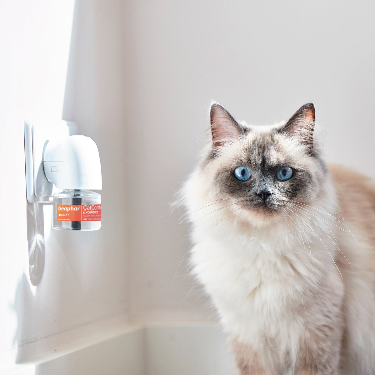 Beaphar CatComfort Excellence Diffuser Refill | 30 Day Calming