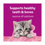 Whiskas Milky Treats for Kittens 50g | Calcium-Rich Cat Rewards