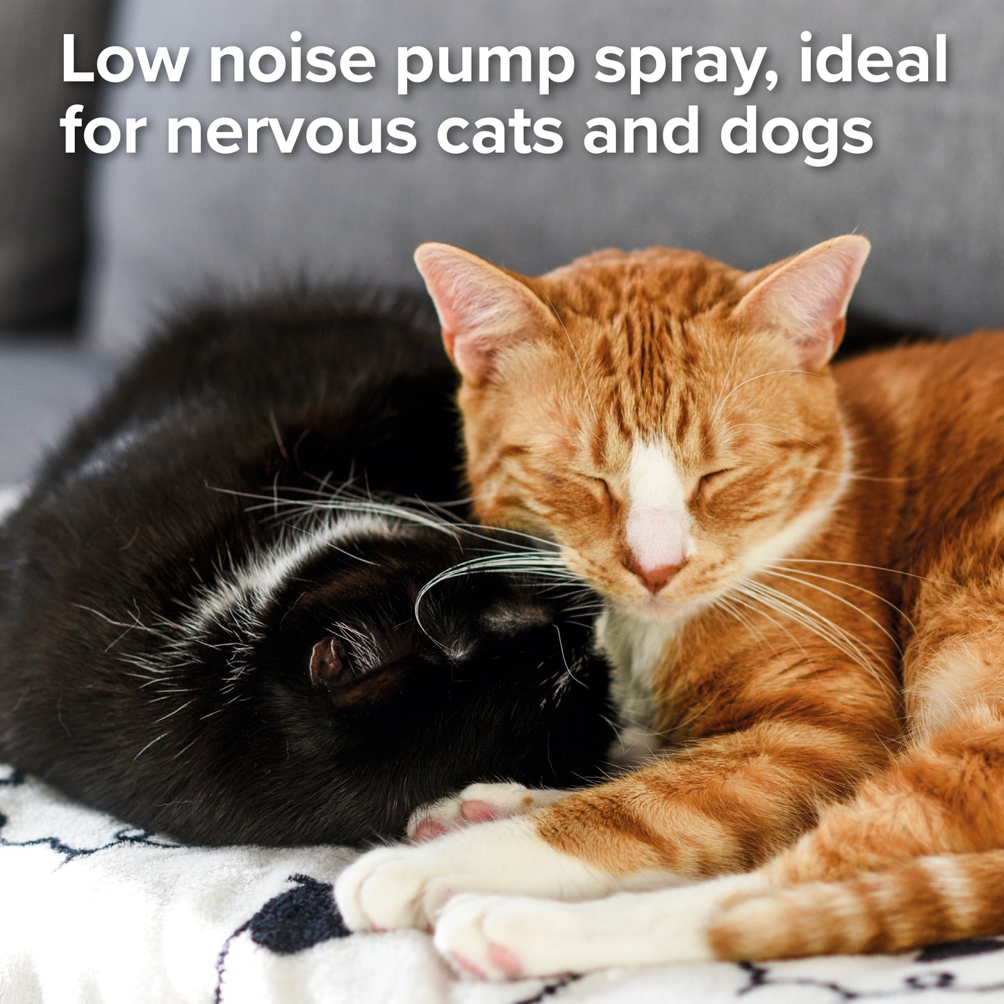 Beaphar | Dog & Cat Flea Control | Pump Action Spray - 150ml