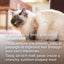 Beaphar Hairball Easy Treats for Cats - Crunchy Cushions with Oil-Rich Malt Paste (35g)