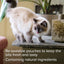 Beaphar Hairball Easy Treats for Cats - Crunchy Cushions with Oil-Rich Malt Paste (35g)