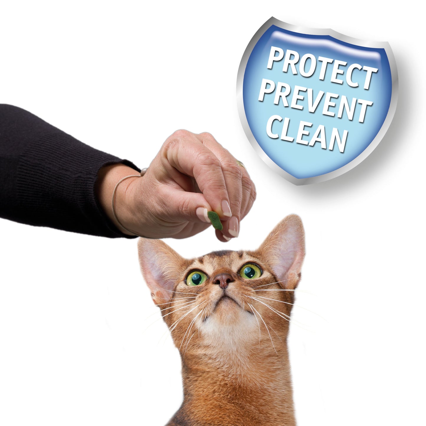Beaphar | Cat Dental Care | Easy Treats - 35g