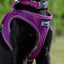 Ancol Viva | Dog Harness | Mesh Step-In - Purple