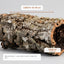 Trixie Natural Cork Tunnel M | Reptile & Small Pet Hide
