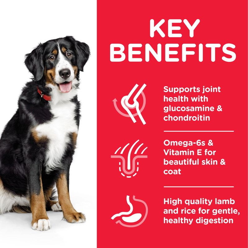 Hill's Science Plan Adult Lamb Large Breed Dry Dog Food