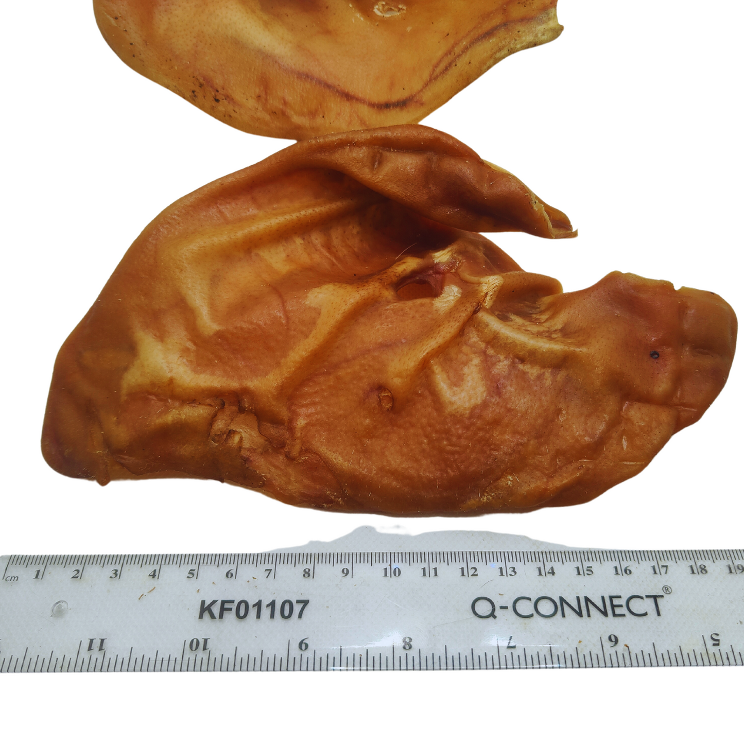 XXL Giant Pig's Ear | High Protein Chewy Dog Treat | Top Quality Pork Snacks by Natural Connection