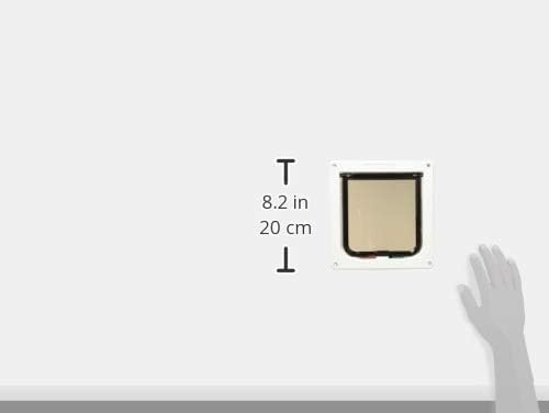 Measurement chart showing a beige square with dimensions and a hand for scale on a white background